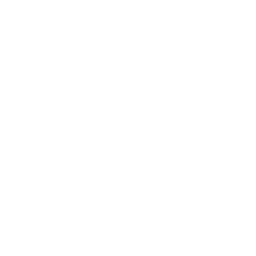 Dimplesteel icon white Logo